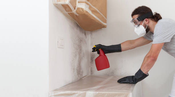 Attic Mold Remediation treatment on roof deck in Conowingo